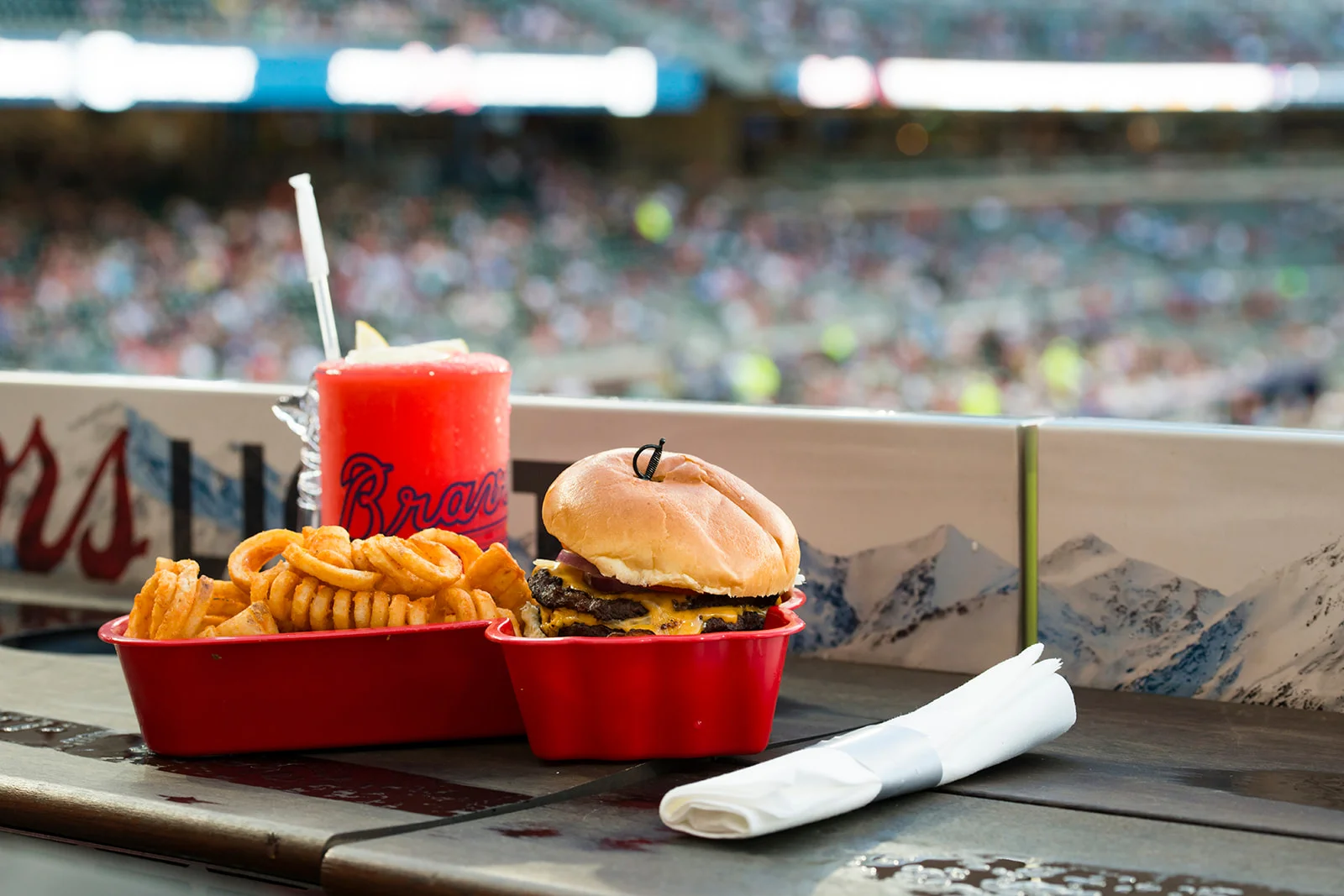 052018_LaurenLizPhoto_SunTrustPark_LLK2036.jpg