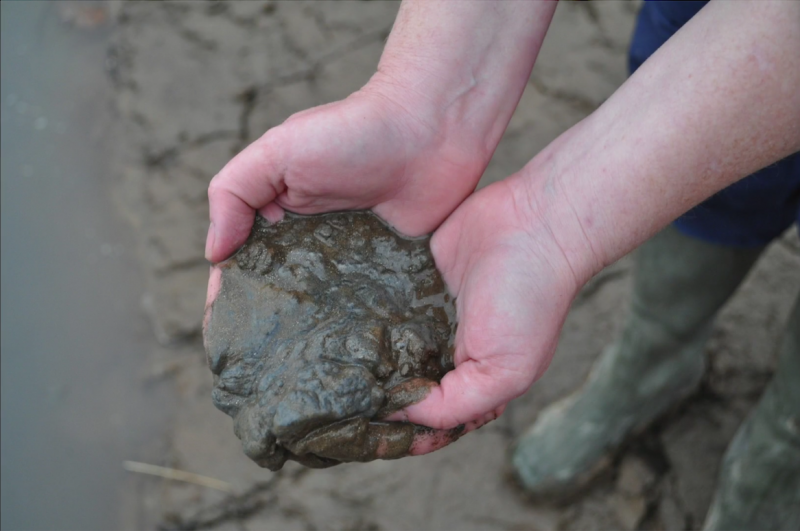 Coal ash.