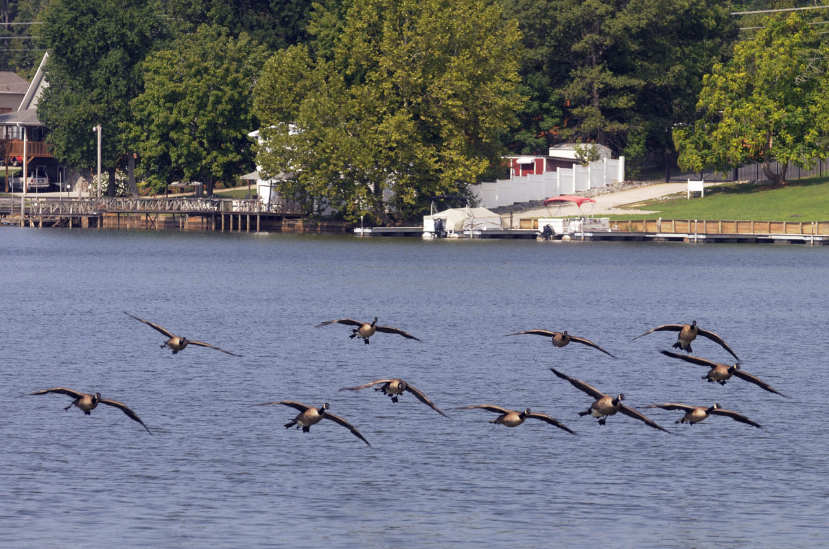 High Rock Lake