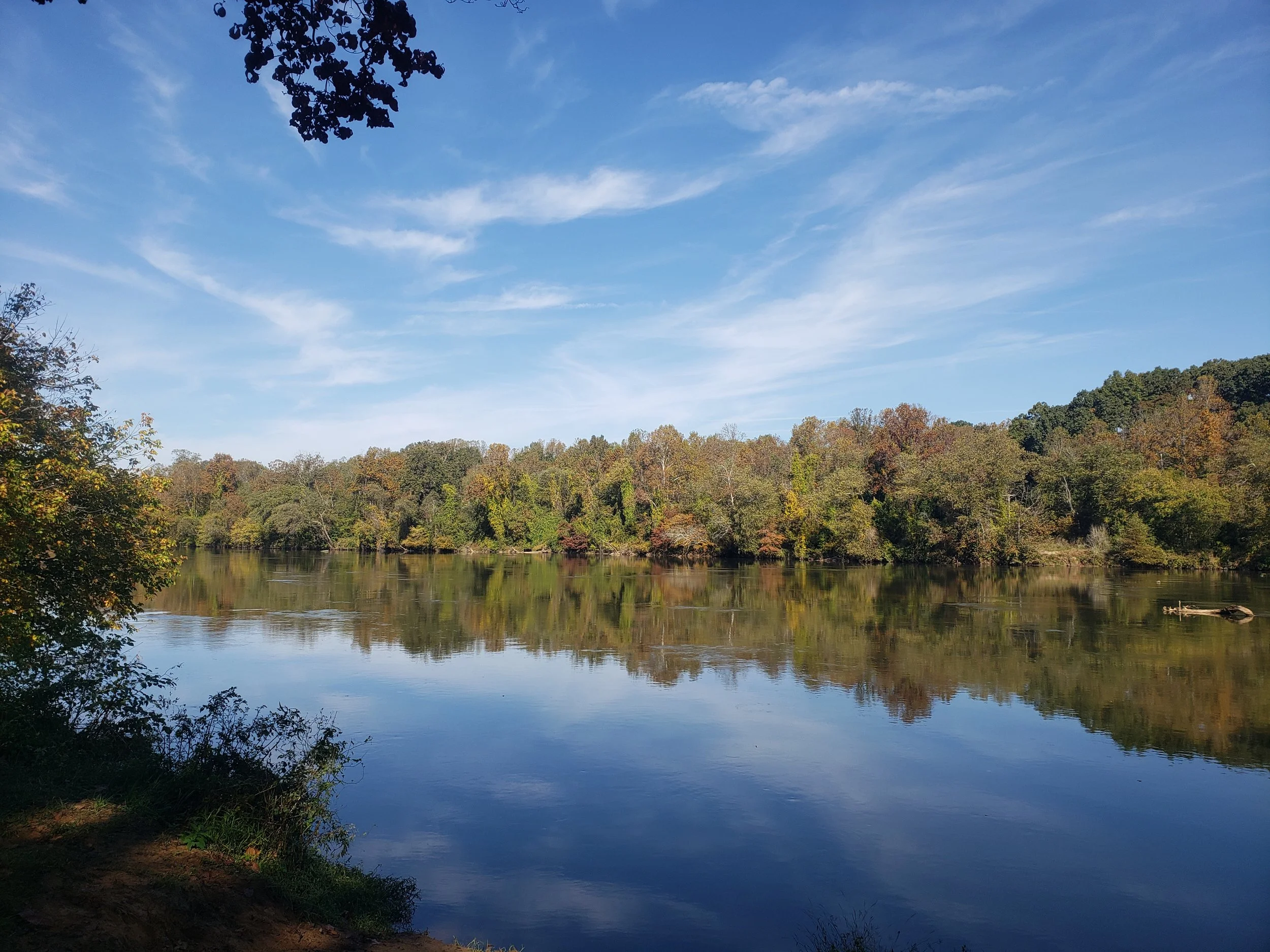 YRST Paddle- Shoals to Donnaha