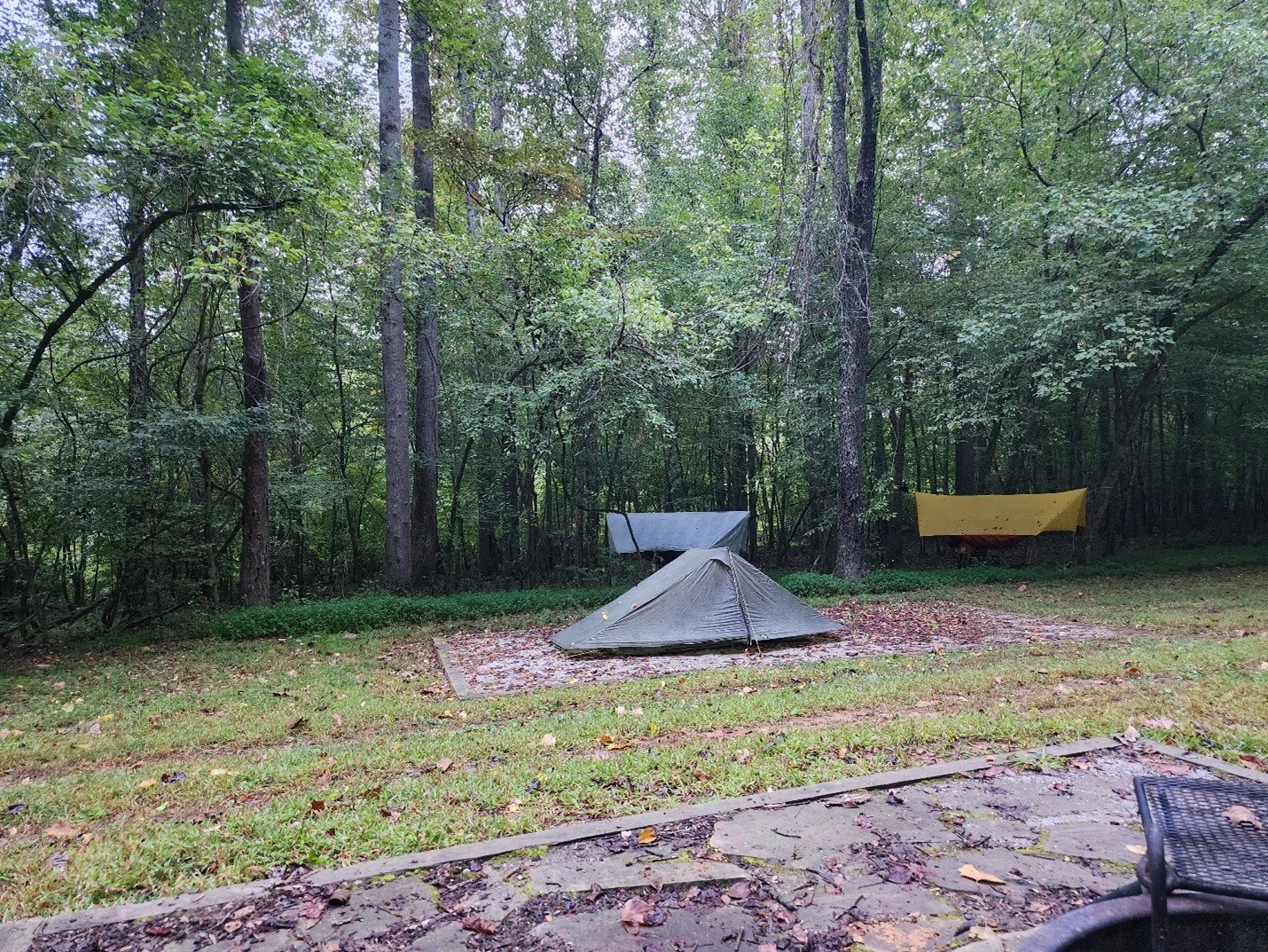 Camping in the Summer Moonlight