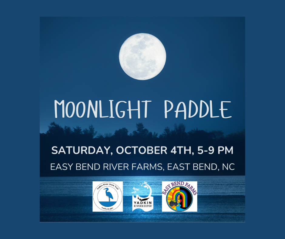 Moonlight Paddle