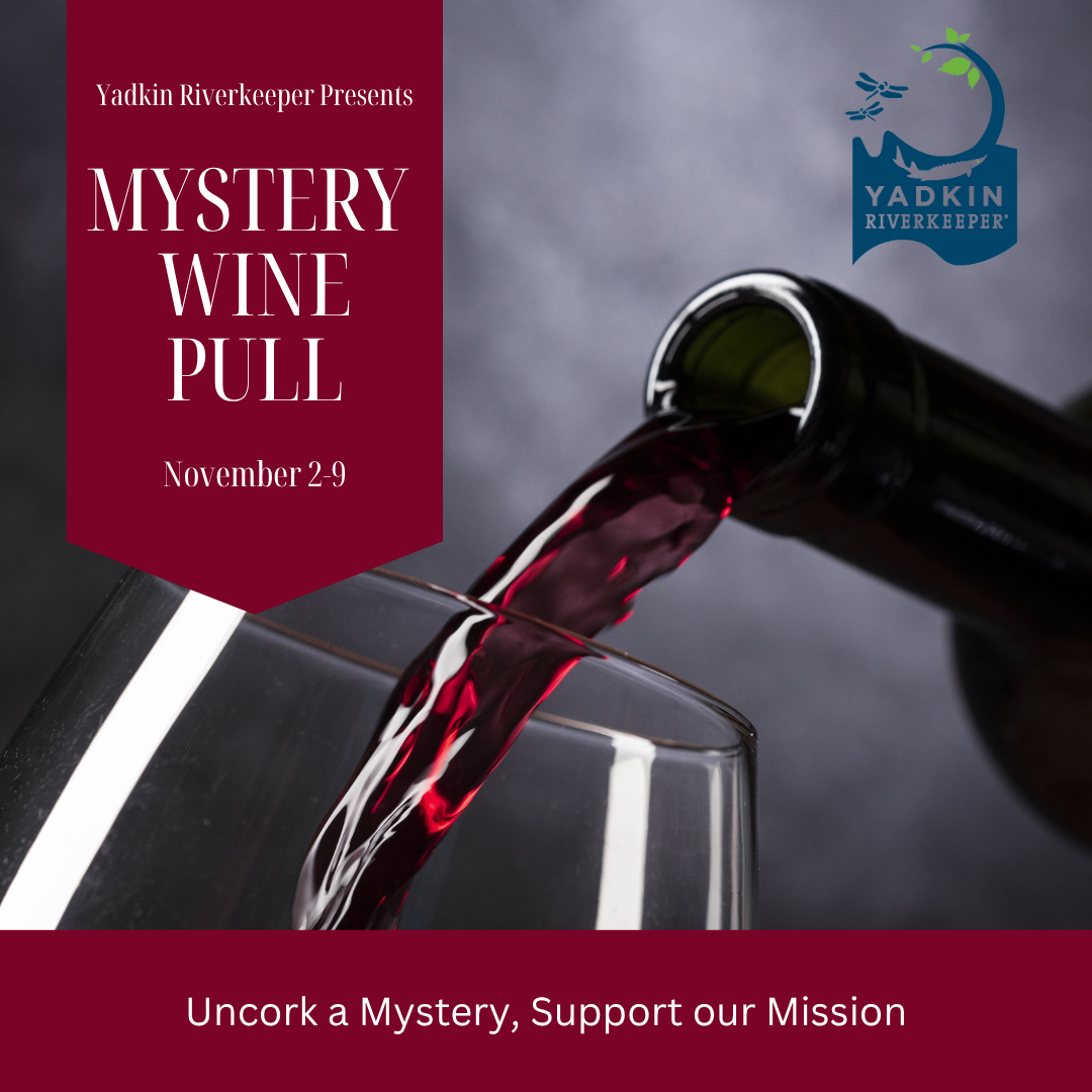 Mystery Wine Pull