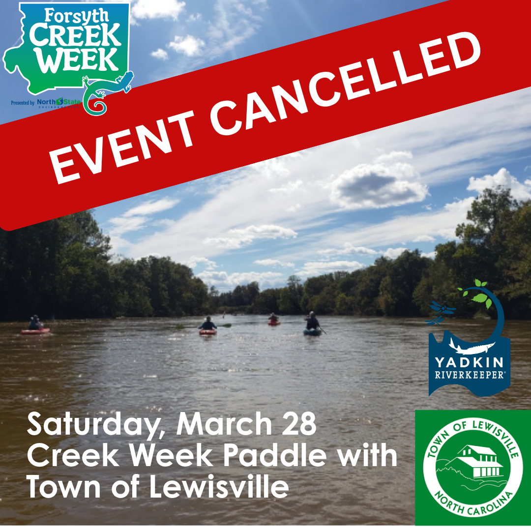 YRK Creek Week Paddle with the Town of Lewisville