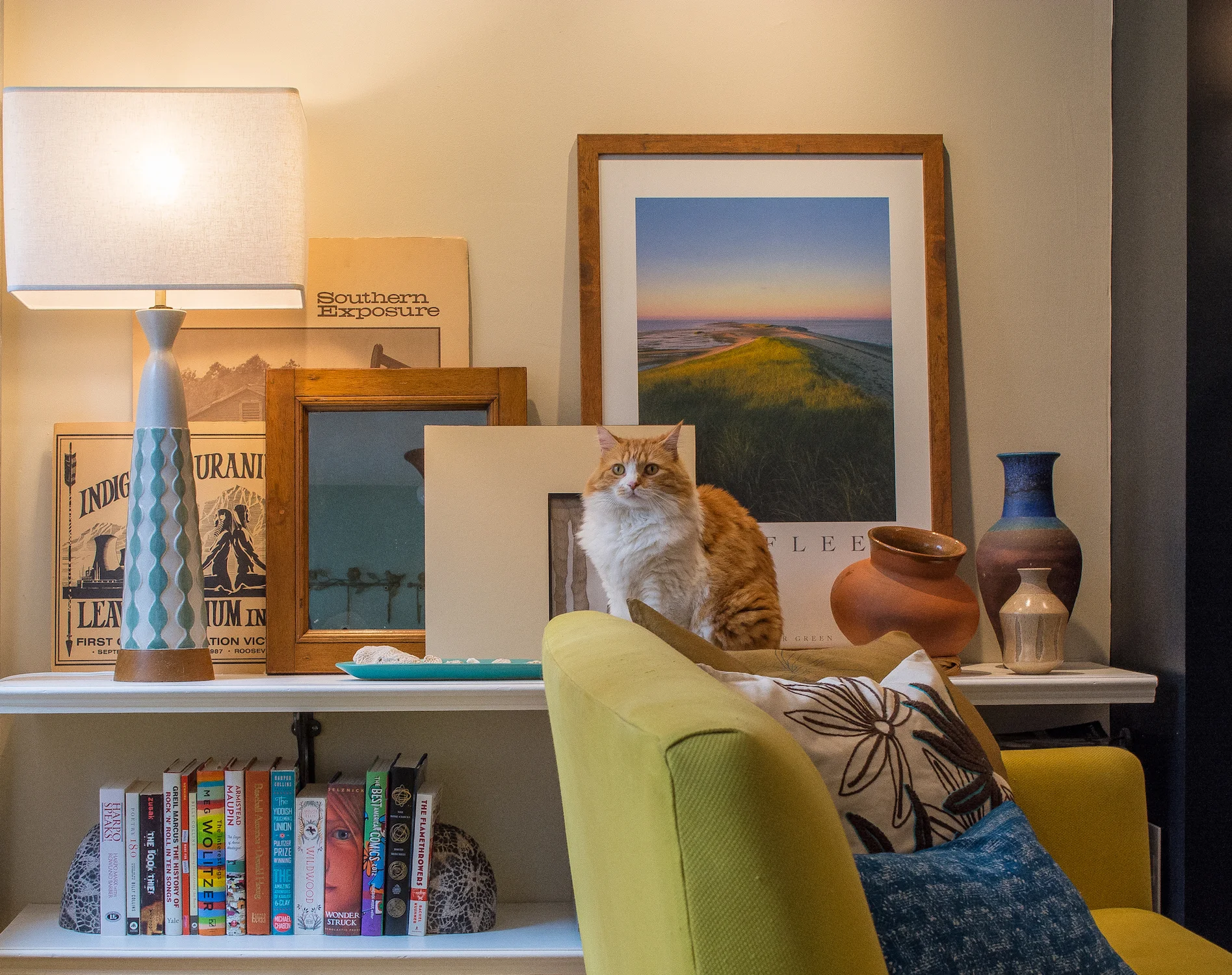 Neeley on Matthew's Shelves.jpg