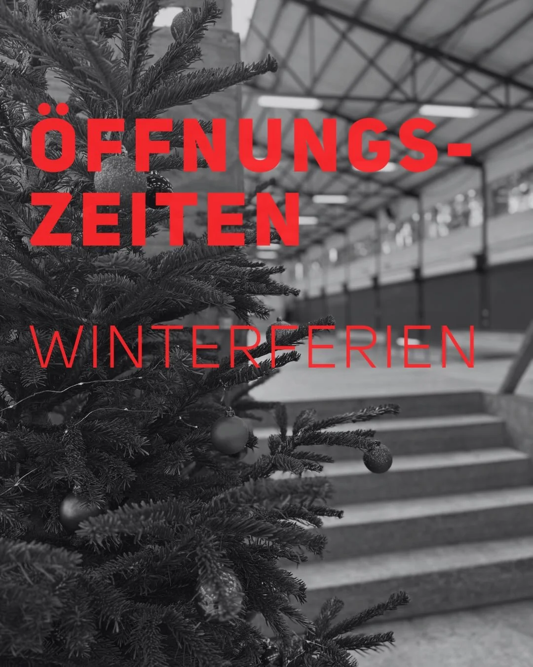 ❄️Winterferien 2025 &ndash; &Ouml;ffnungszeiten
Ob du die Feiertage feierst oder nicht, in den Winterferien ist die Halle fast t&auml;glich f&uuml;r dich ge&ouml;ffnet. Genug Platz f&uuml;r alle Styles und jedes Level. 
📍 Winterferien in Niedersachs