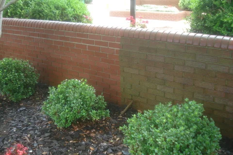brick courtyard wall
