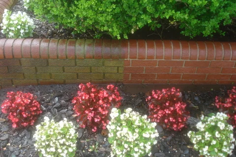brick courtyard wall