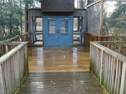 entrance