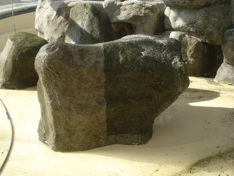 before and after rock cleaning