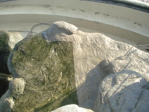 before and after rock cleaning