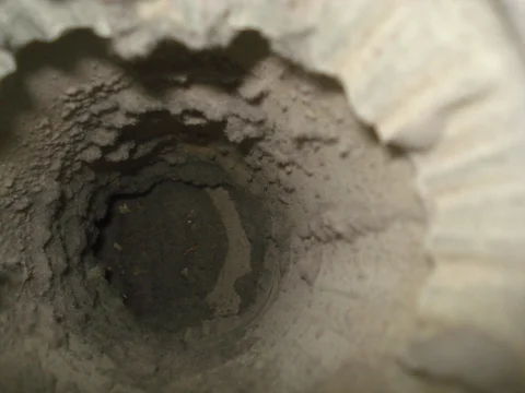 Dryer vent cleaning, before.