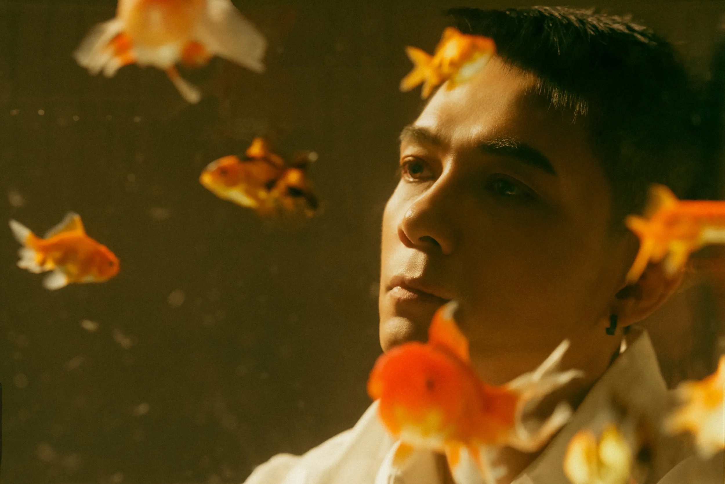 aLTQuang10434 copy.jpg