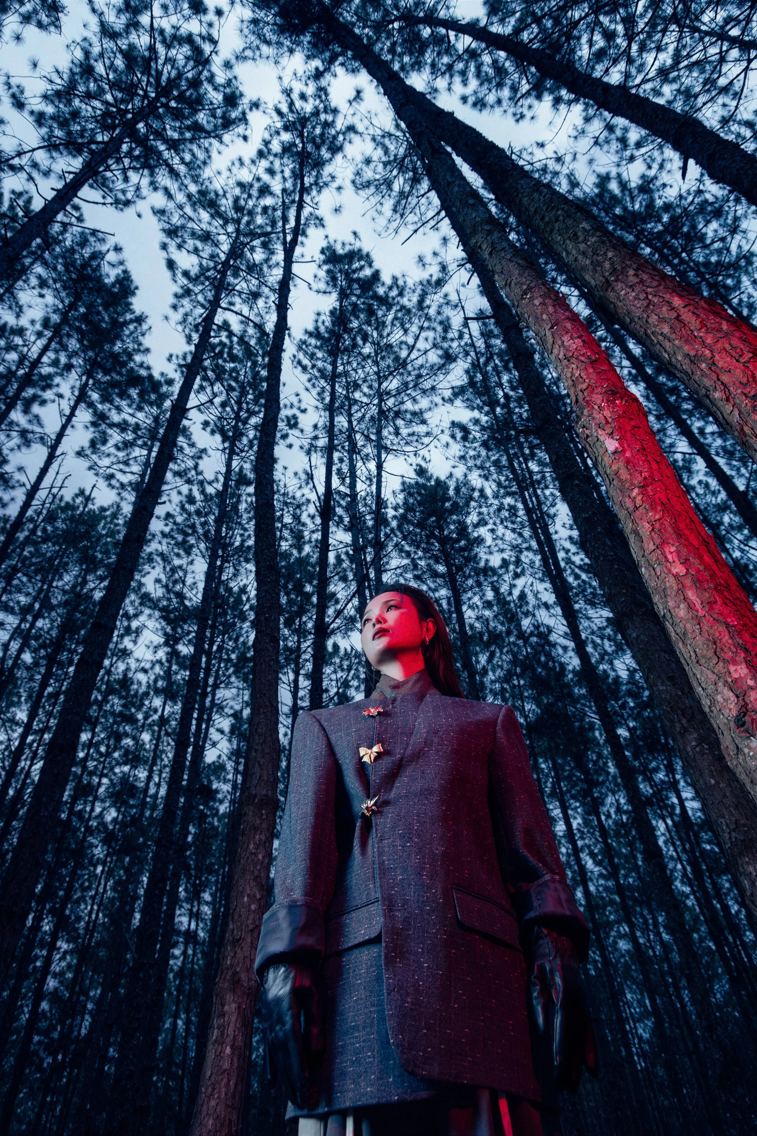 TND_9201 copy2 copy.jpg