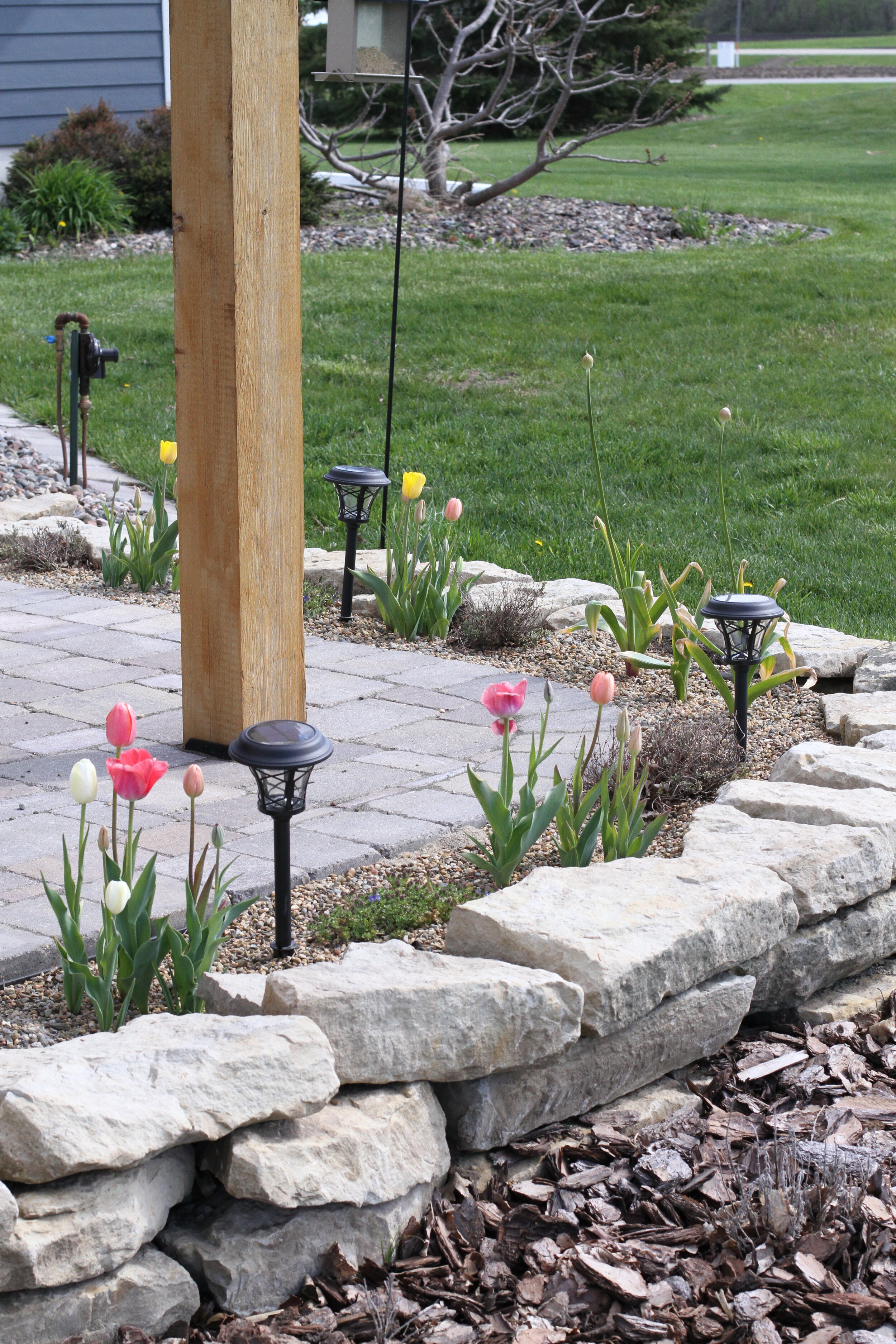 Landscaping around hardscape