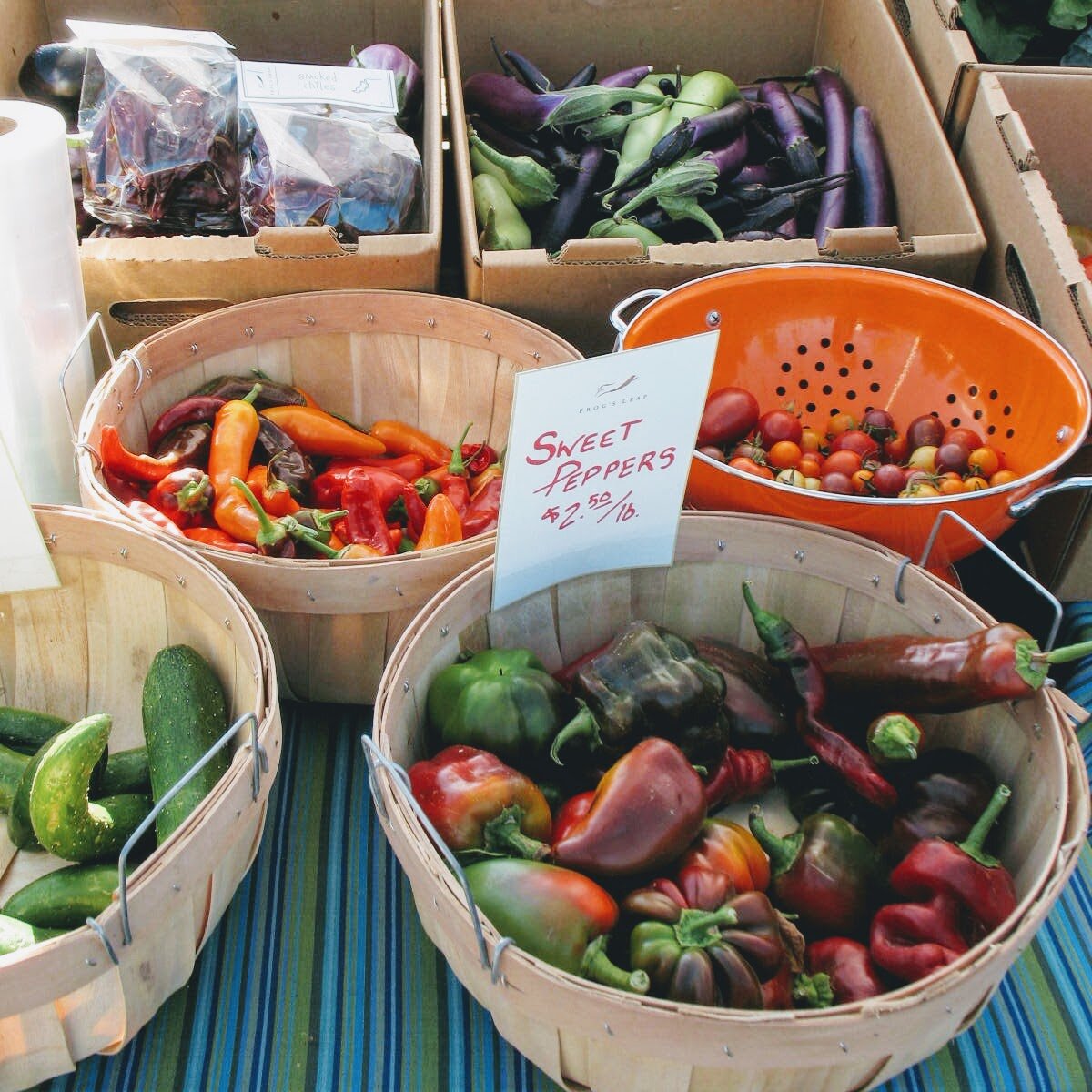  Tomatoes, peppers, cucumbers and eggplant…late summer’s flavors and colors. 