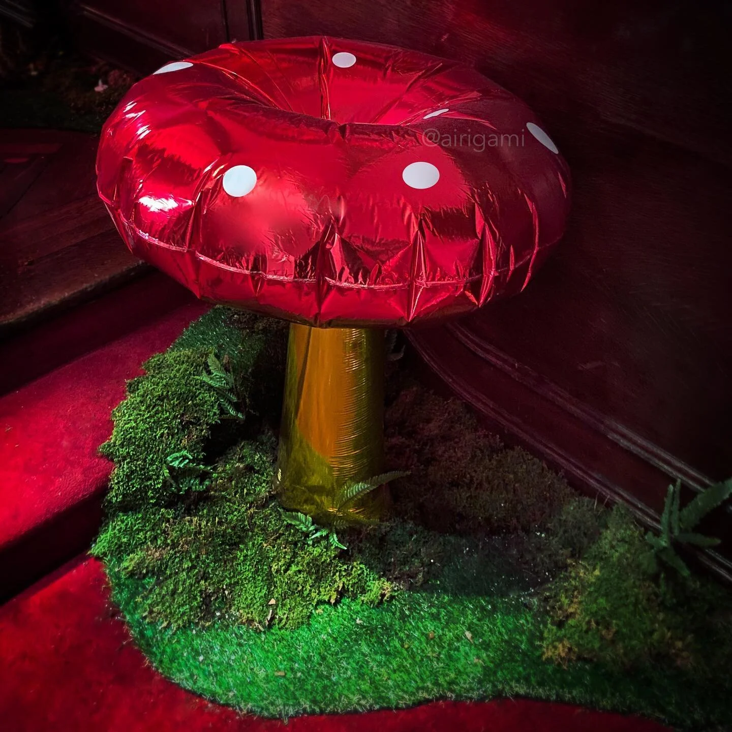 Mushrooms