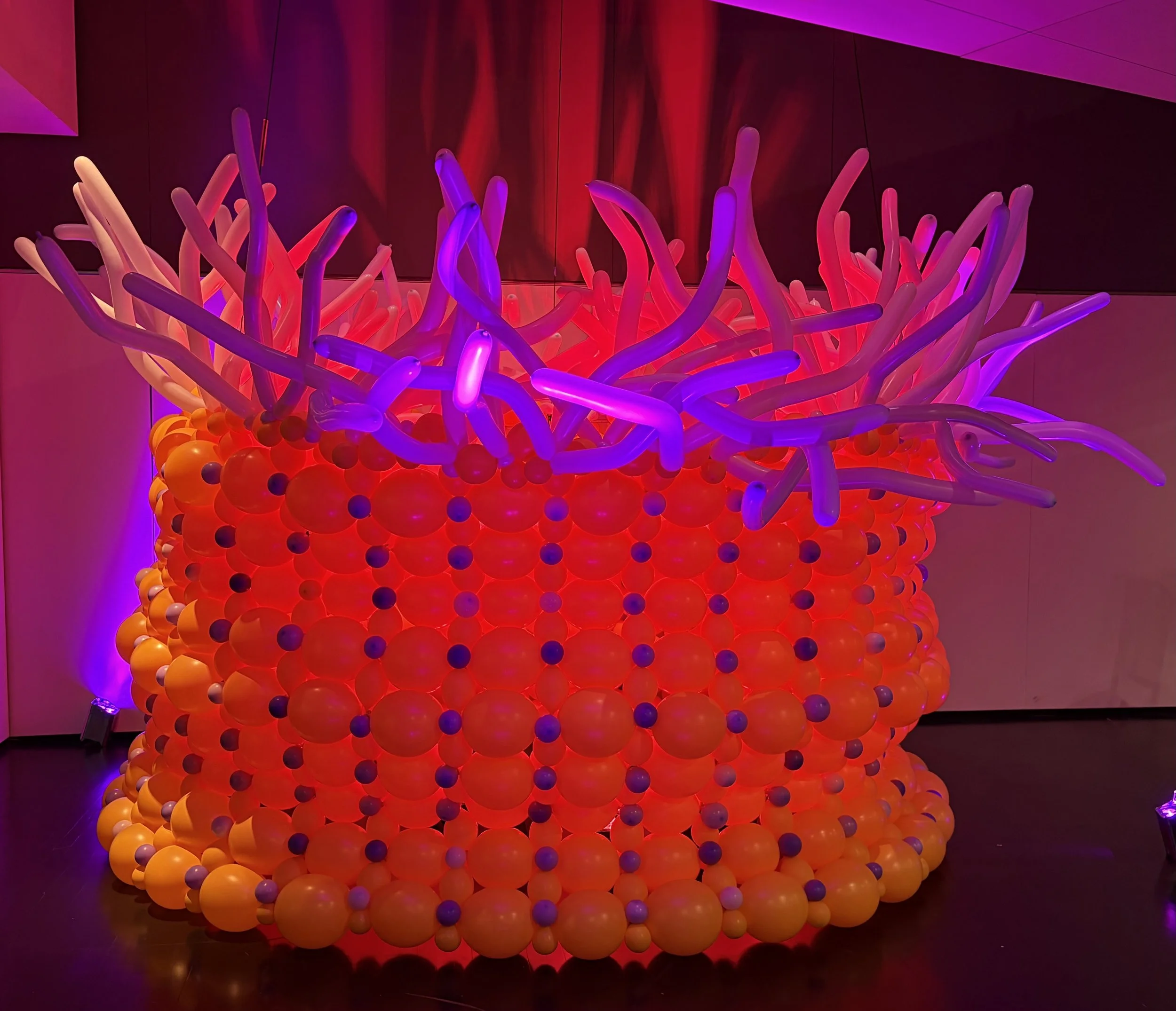 Blaschka in Balloons - Balloon anemone inspired by glass sculpture from Blaschka studio