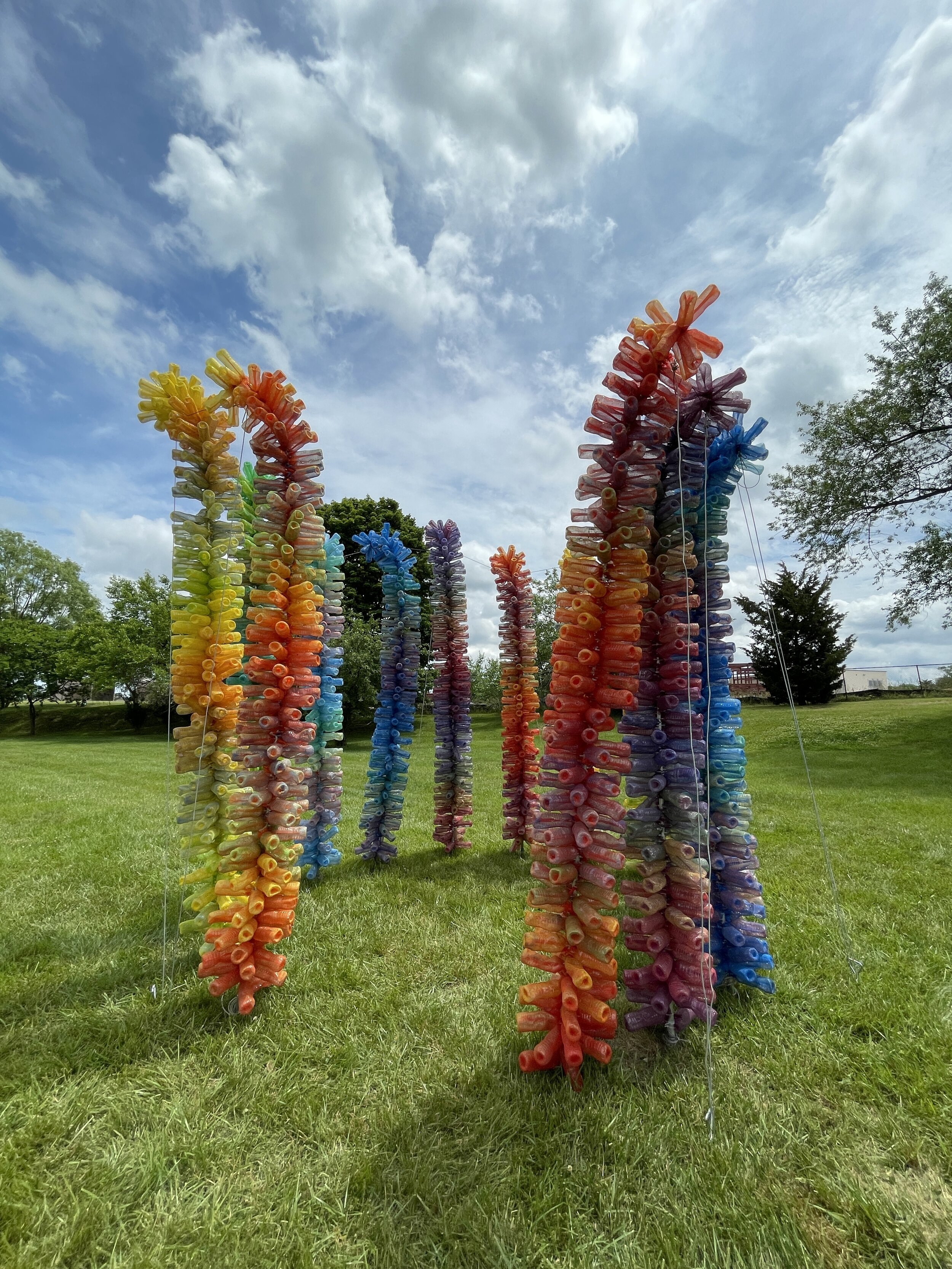 Kate Dodd, Efflorescence, repurposed plastic water bottles, 14 stalks 12’x 2’x 2’