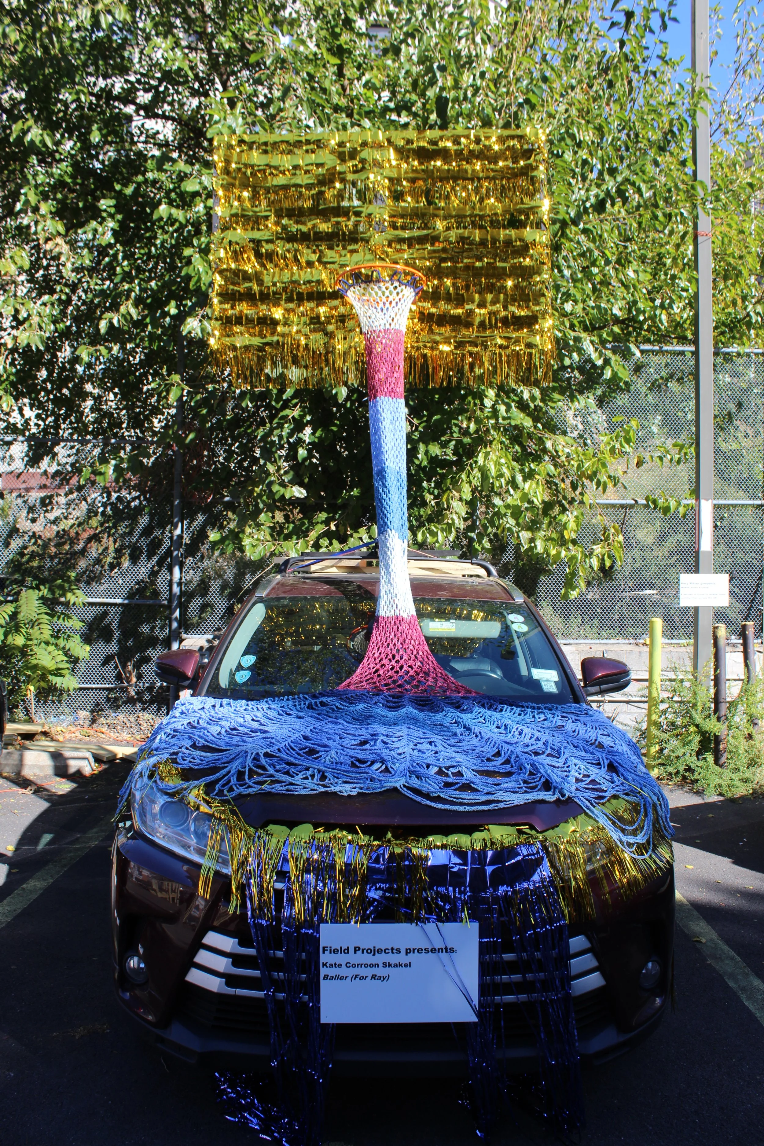 Skakel, Kate Corroon curated by Field Projects.JPG