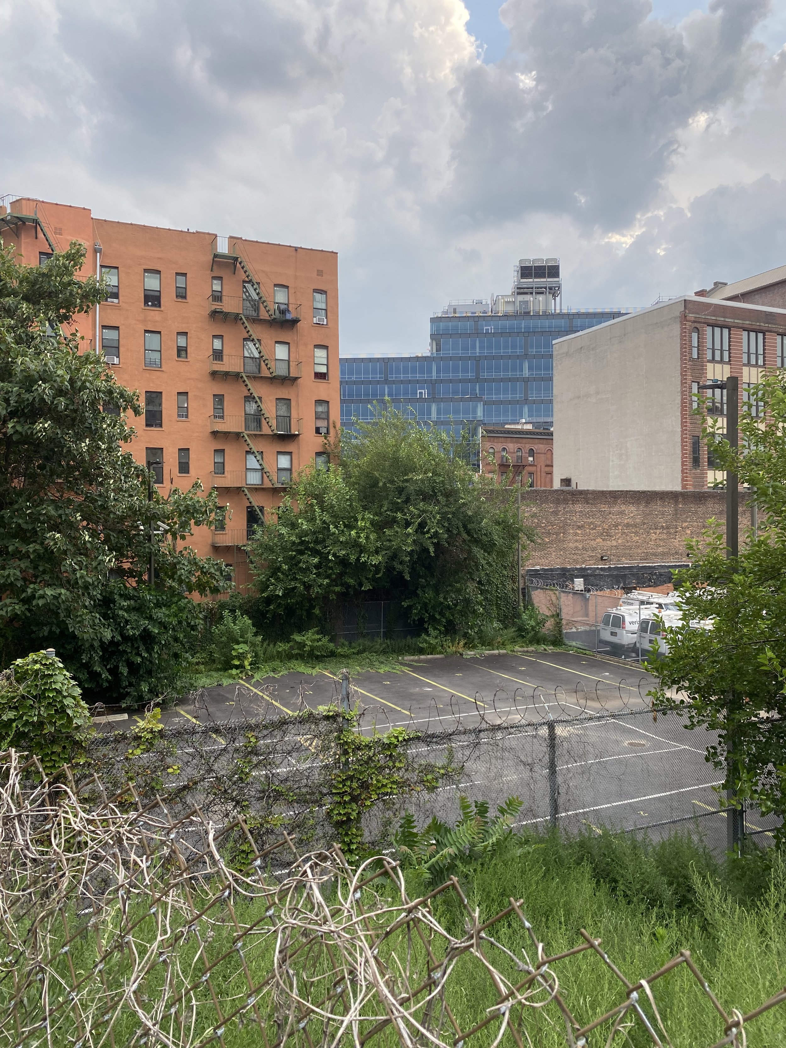 Stay Frosty, Harlem October 2025