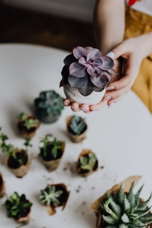 Inner Child Healing for The Christian WomanInner child healing for Christian women. This is the best inner child healing for the Christian woman to move on from family of origin and start thriving within their own family. If you came from a broken f…