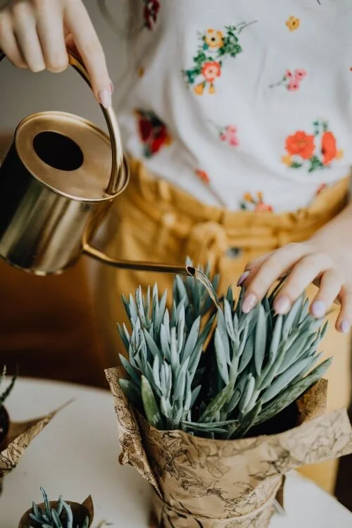 Inner Child Healing for The Christian WomanInner child healing for Christian women. This is the best inner child healing for the Christian woman to move on from family of origin and start thriving within their own family. If you came from a broken f…