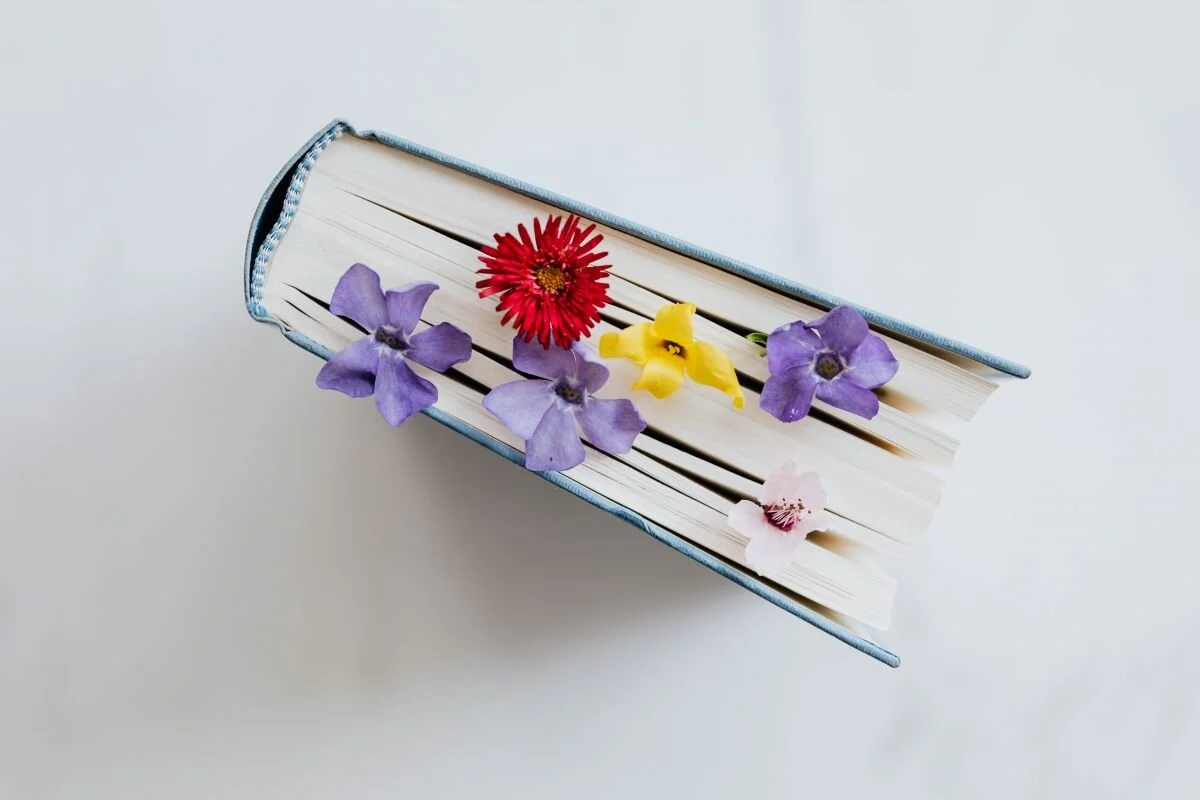 love and respect book.jpeg