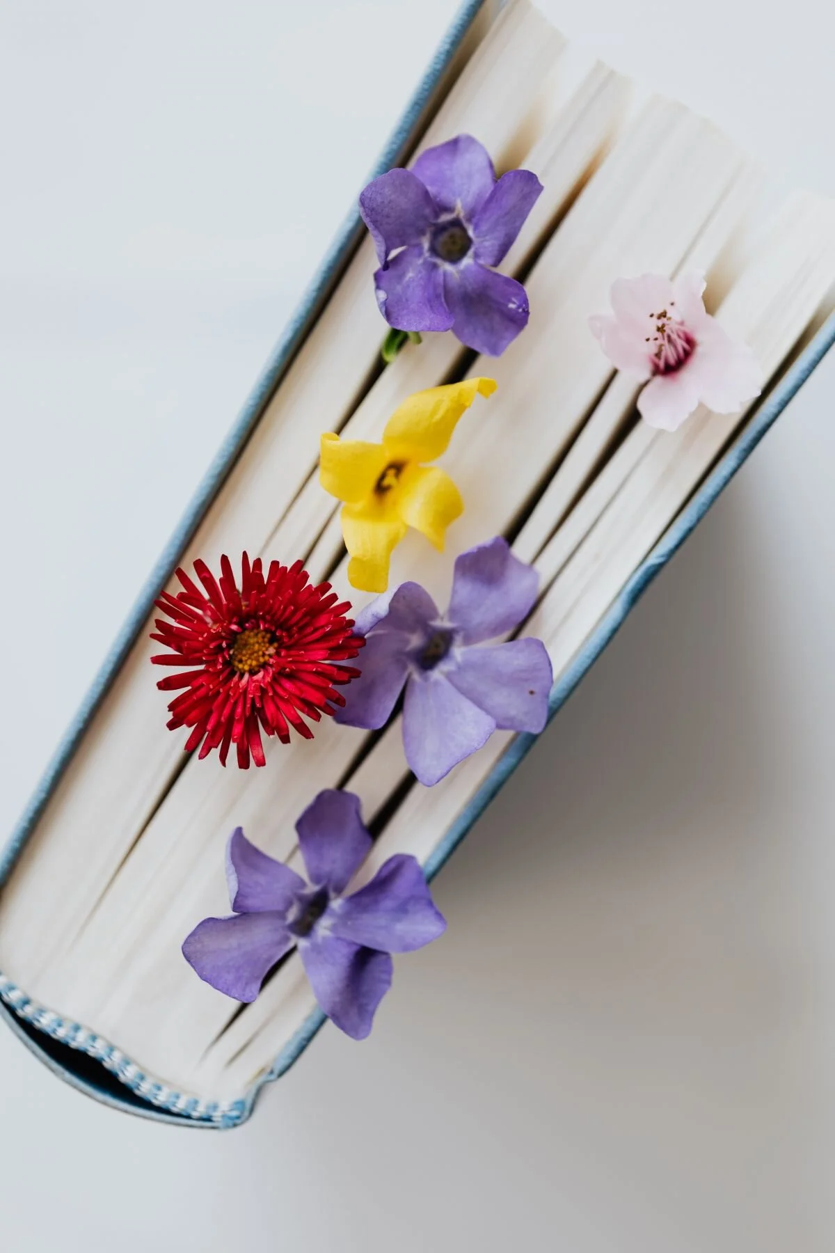 This is the best marriage advice if you want to win back your husband’s heart and start over in your marriage. If you are struggling and need marriage encouragement and tips on how to start over and have a better marriage, or how to fix my marriage …