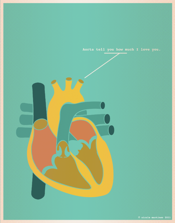 aorta.png
