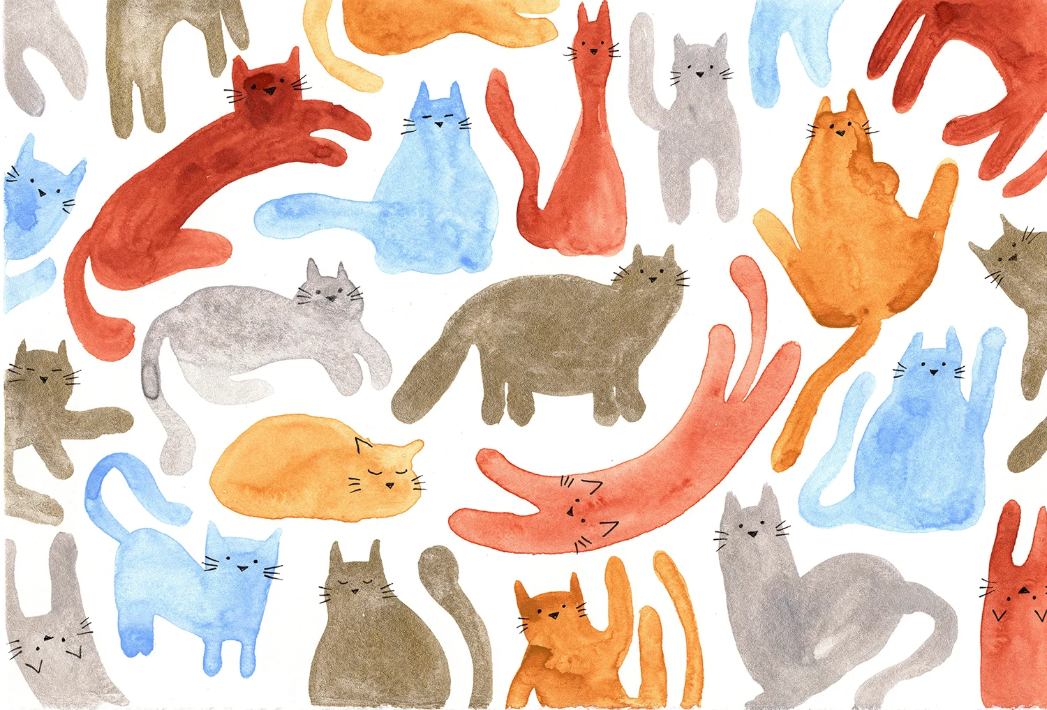 catspattern4.jpg