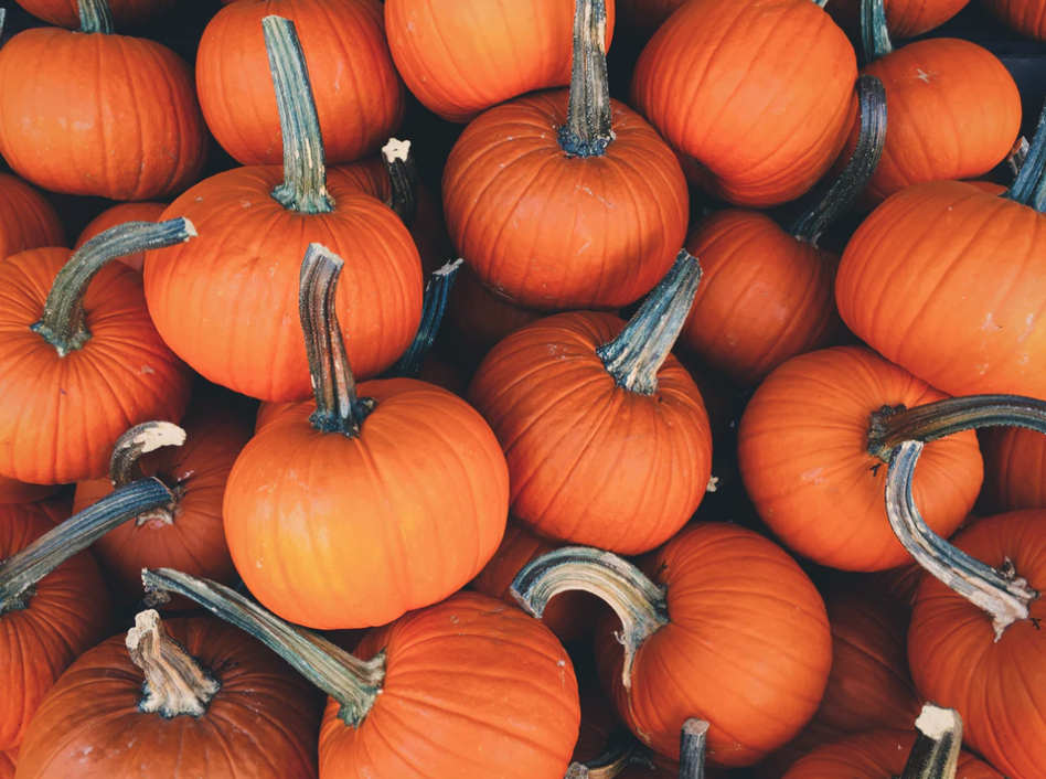 Halloween at Fairbank Village