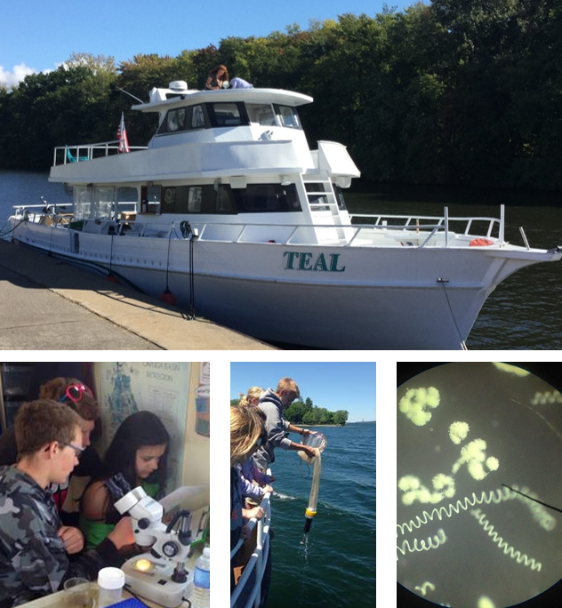 Boat Collage.png