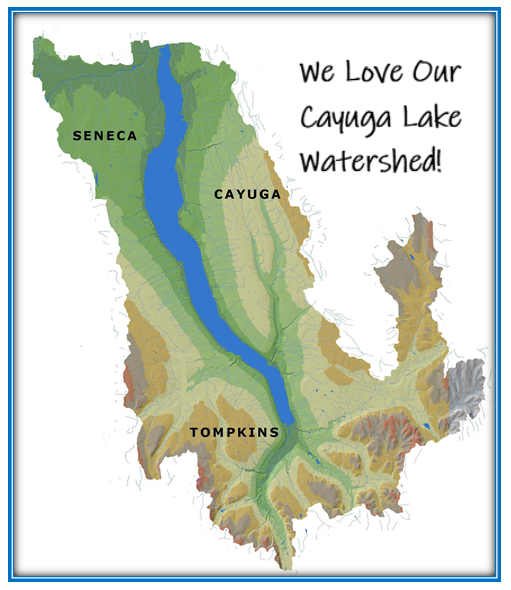 Our Cayuga Lake Watershed- 800+ square miles, 44 municipalities and 100,000 wonderful people!