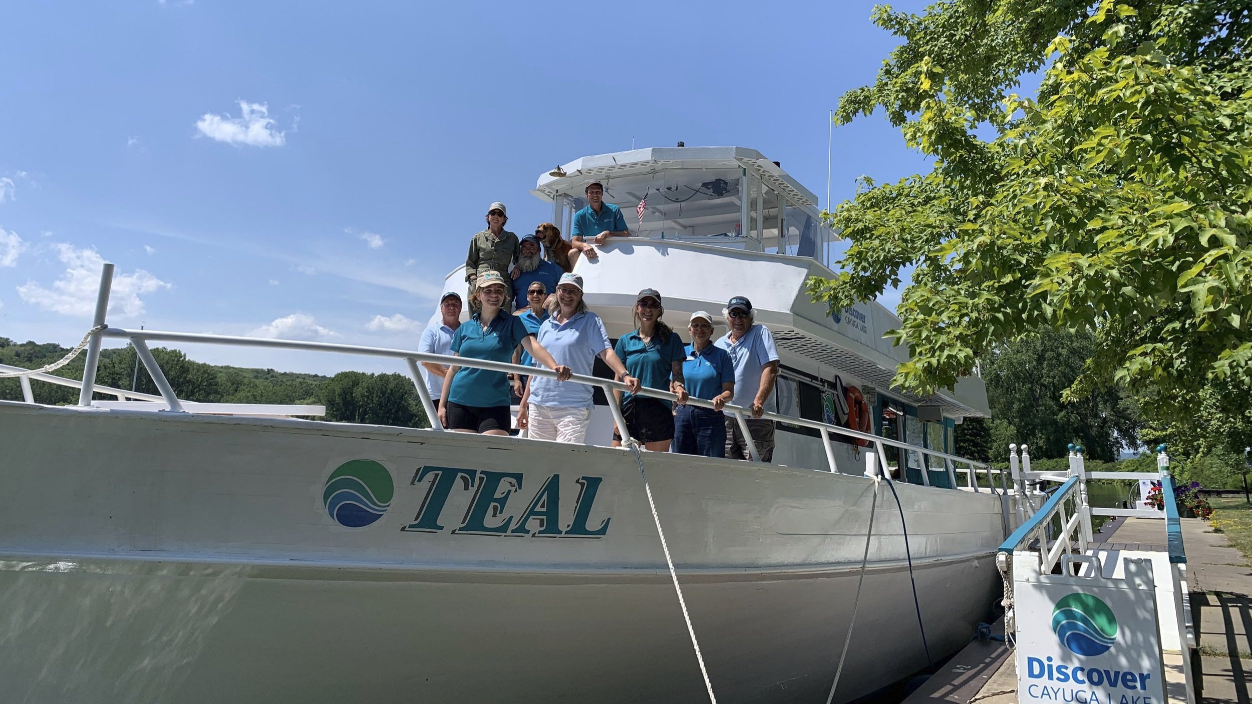 dcl cruise