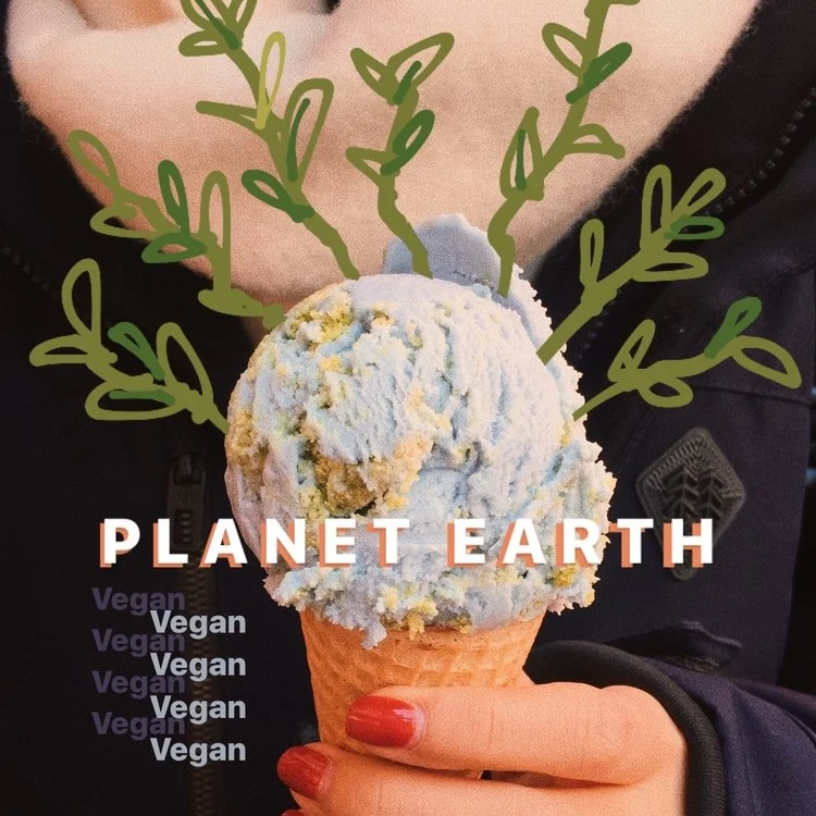 NYC | In Search of: Vegan Icecream - Van Leeuwen