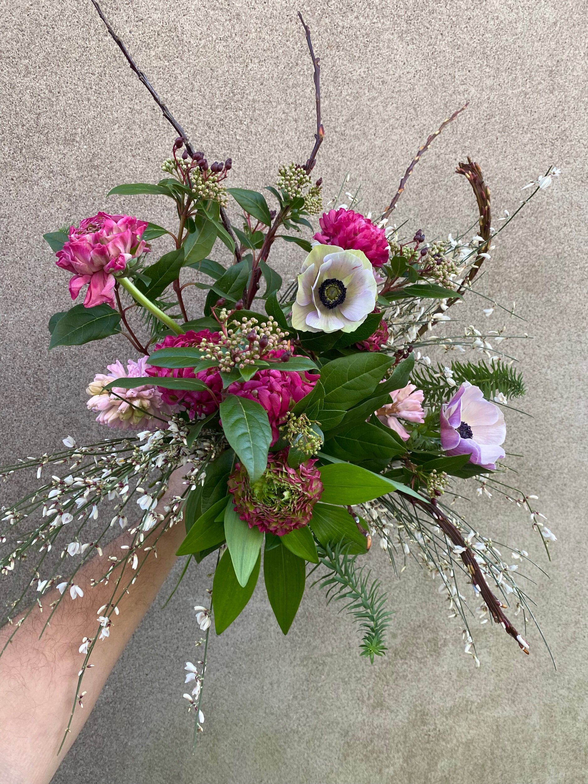 2F440B01-B61E-4804-B78F-0B0FEDCC7731