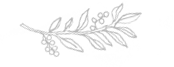 05-icon.png
