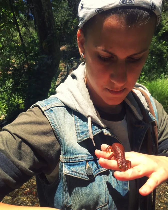 Making friends with a California newt (Taricha torosa)