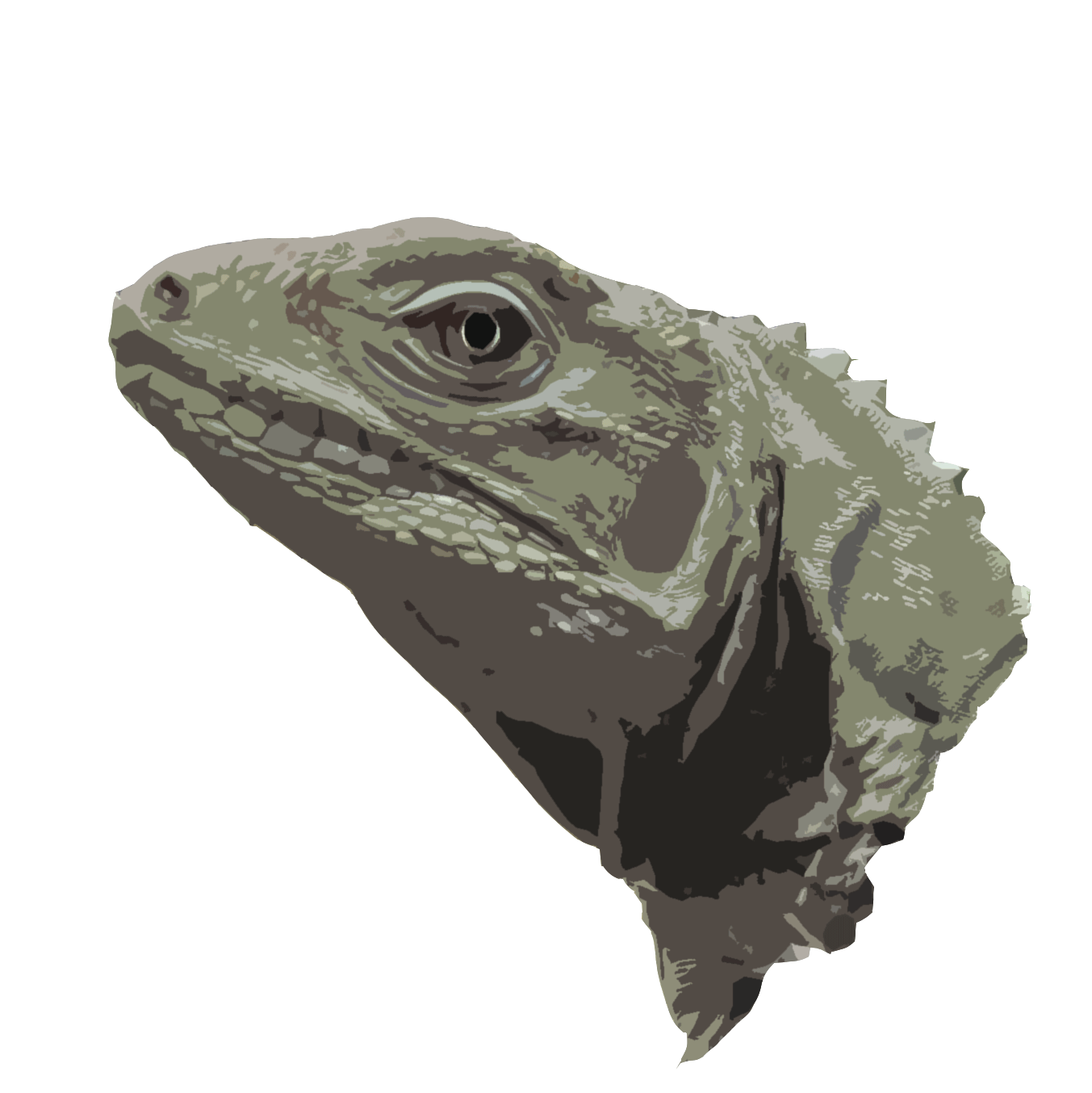 iguanahead.gif