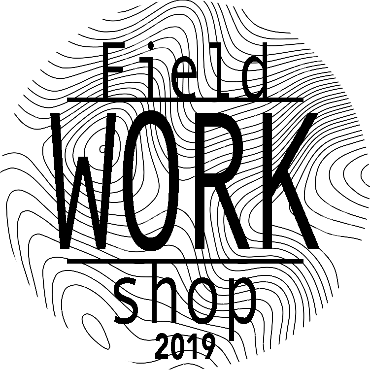 fieldWORKshoplogoround300.png