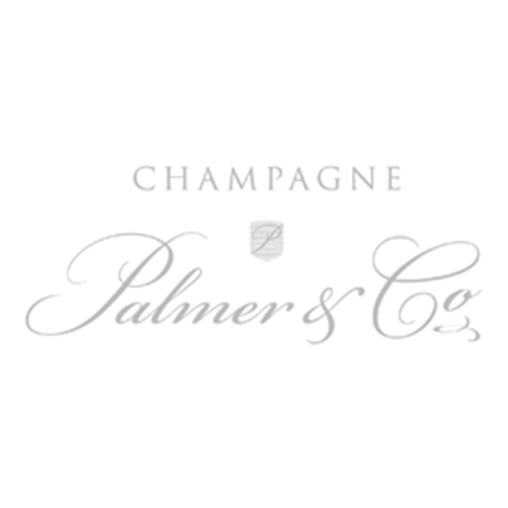 Palmer Logo.jpg