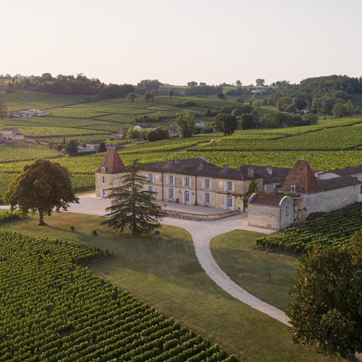 Congratulations to @chateaulassegue for being elevated to Grand Cru Class&eacute; status in the new Saint-Emilion classification! Cheers to a new era! 🥂

#chateaulassegue #saintemilion #saintemilionclassification #stemilion #stemiliongrandcruclass&e