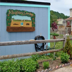  ALLEGHENY GROWS: GARDENS OF MILLVALE