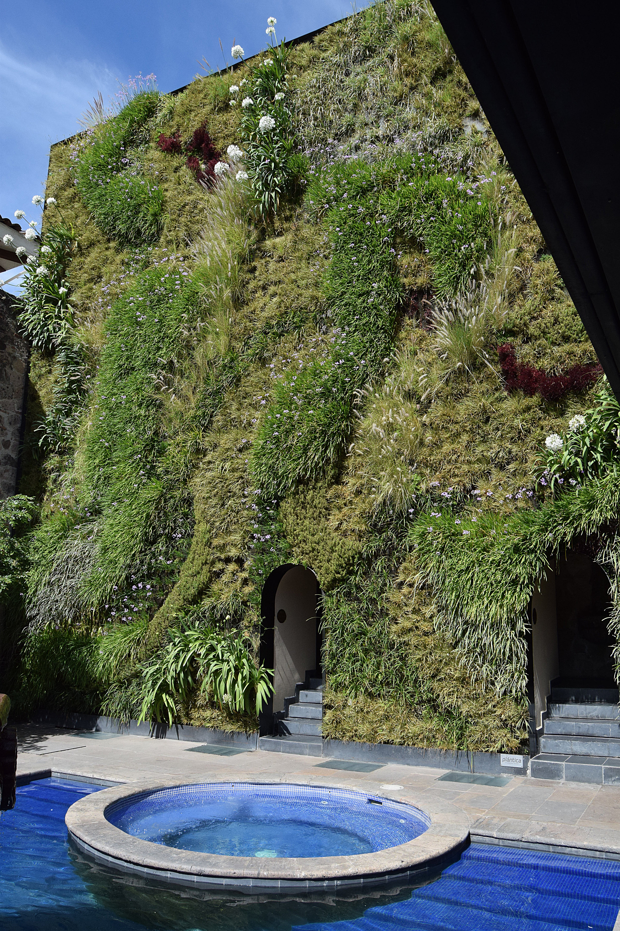 Quinta Real - Jardines Verticales