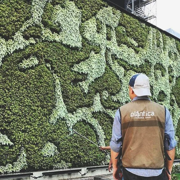 Change the world, plant by plant...