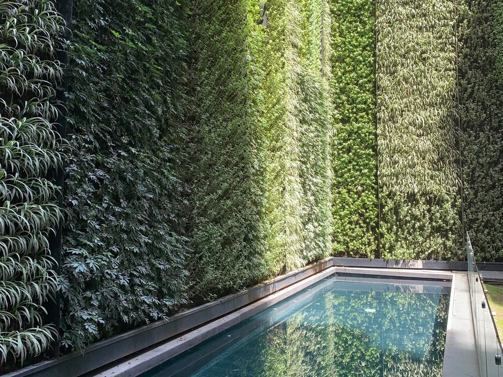 Muro verde - Jardín vertical