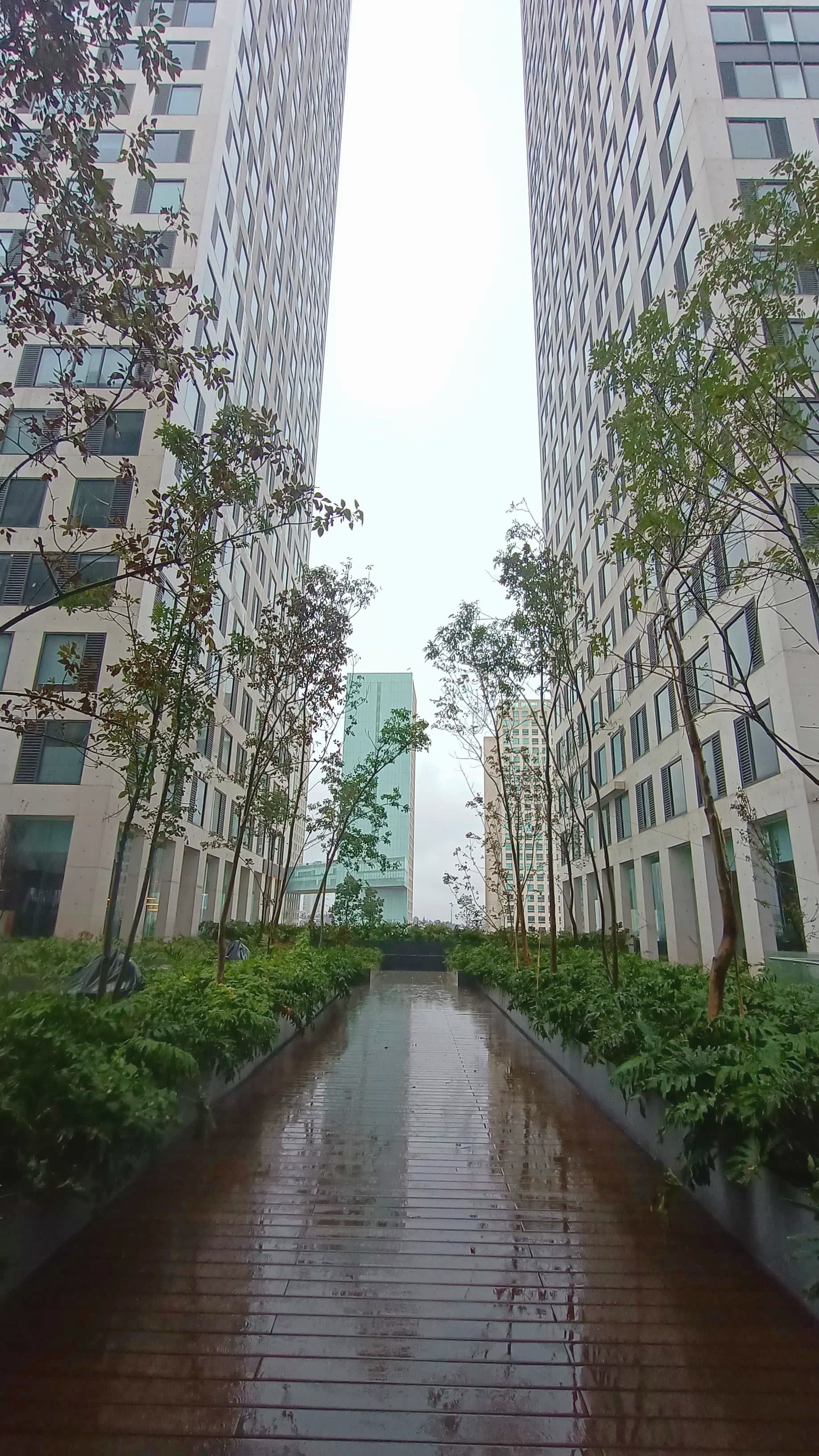 Agwa bosques - Jardinería