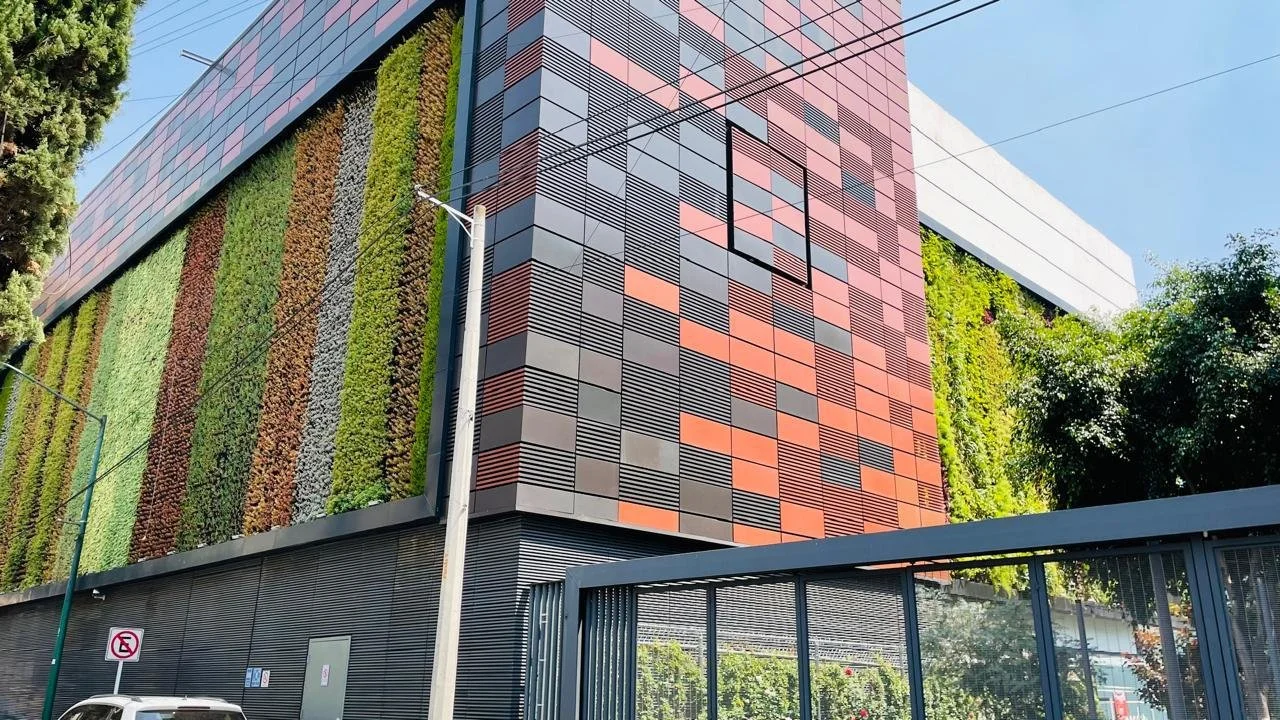 WhatsApp Image 2025-03-07 at 4.26.17 PM.jpeg