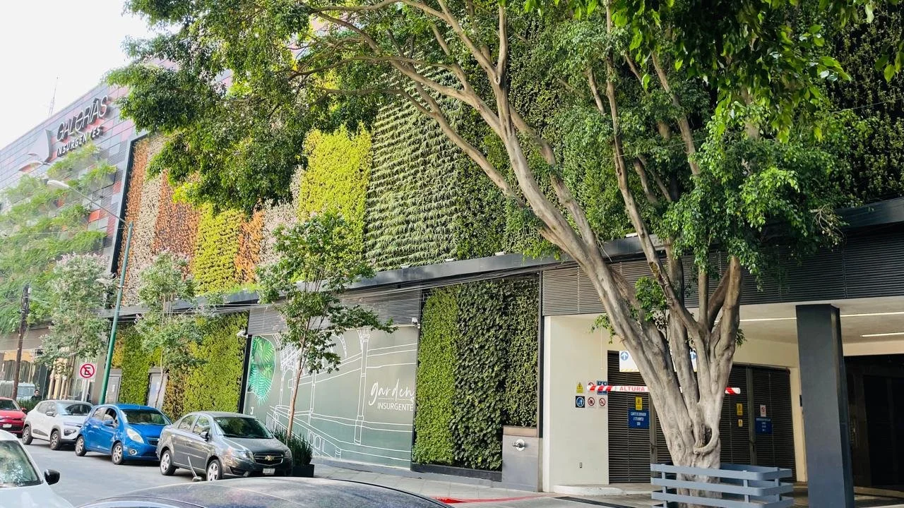 WhatsApp Image 2025-03-07 at 4.26.17 PM (3).jpeg